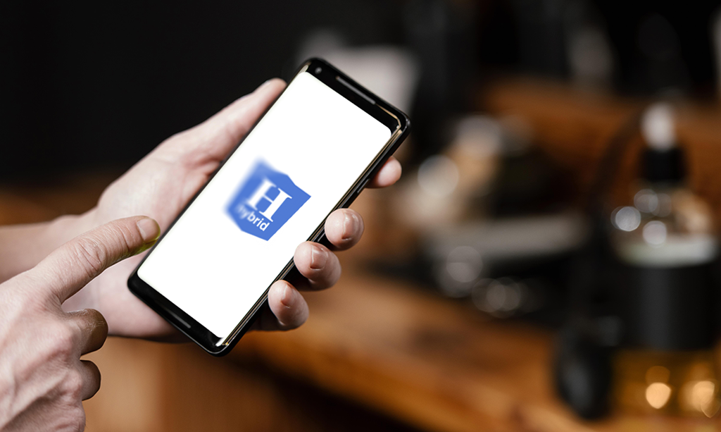What is the feature of hybrid app?