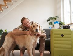 Can you take a pet with you on a plane?